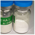 High Quality 1.0g Aminobutyric Acid for Injection